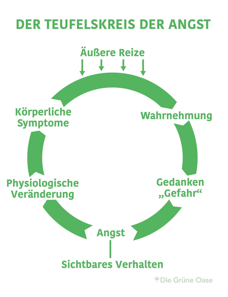 Kreislauf der Angst im Überblick